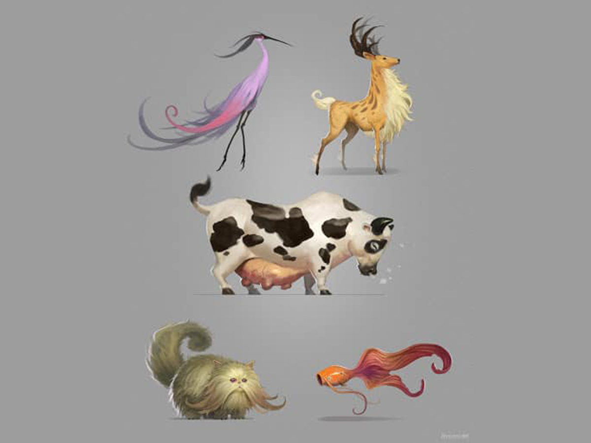 The Government Lake ဂါလဲလီအိုင်တွင်ငါးဖမ်းခြင်း