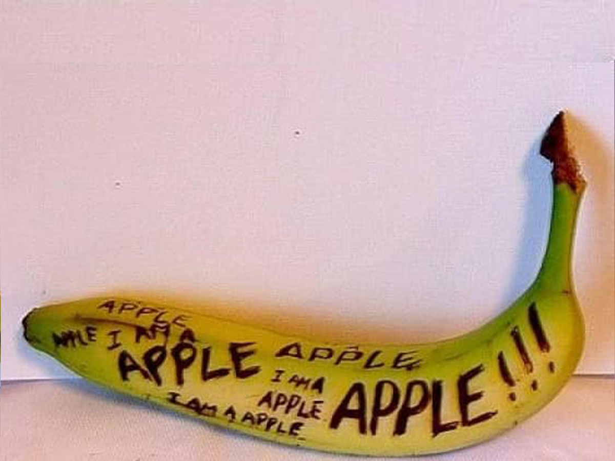 The Government Lake မုသားကောင်